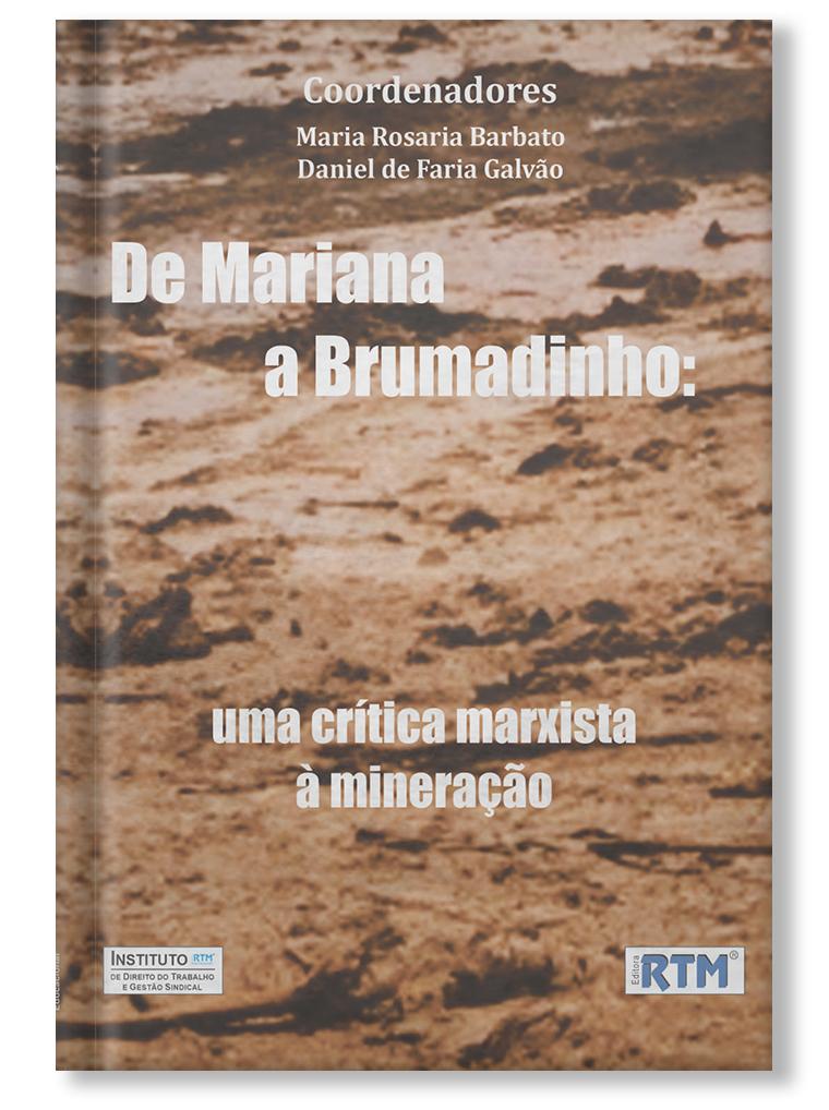 De Mariana a Brumadinho: crítica à Mineração